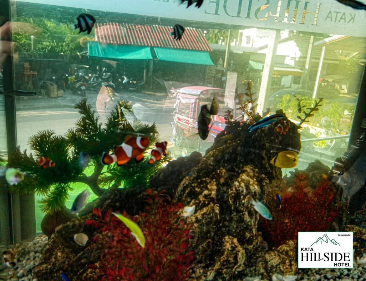 Kata Hillside Hotel Luaran gambar